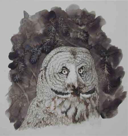 Erica Craig great gray owl original